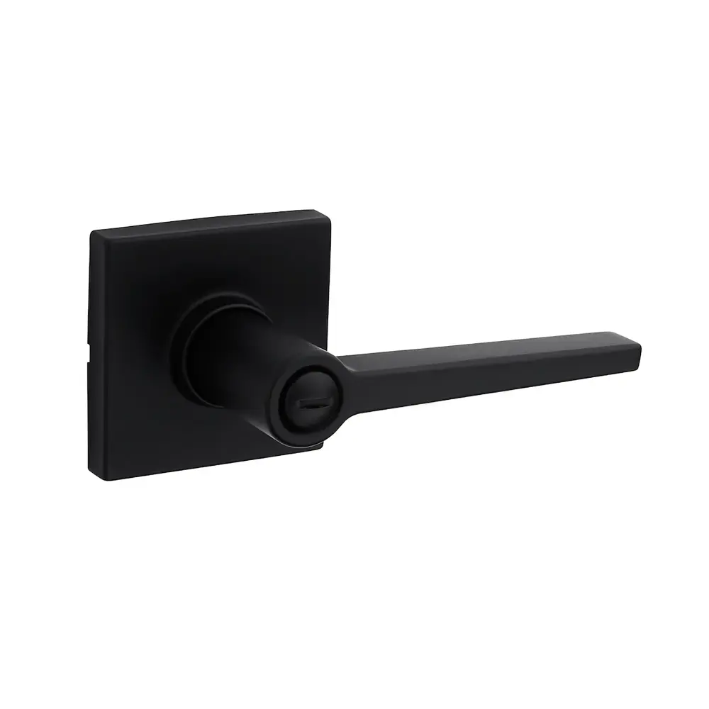 Daylon Privacy Lever, Flat Black