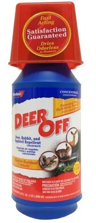 Klean Strip Turpentine Solvent 1 Quart Paint Thinning and Cleaning