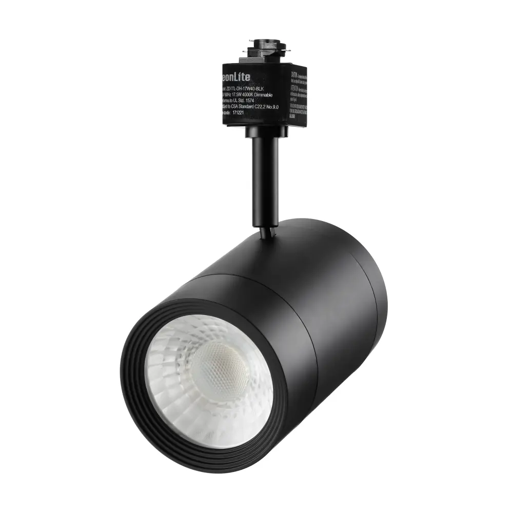Vintage Schoolhouse Light Radiant™ 17W LED Track Portable - Black - 3000K/4000K
