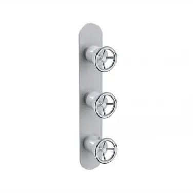 CENTURY decorative place shower valve om013